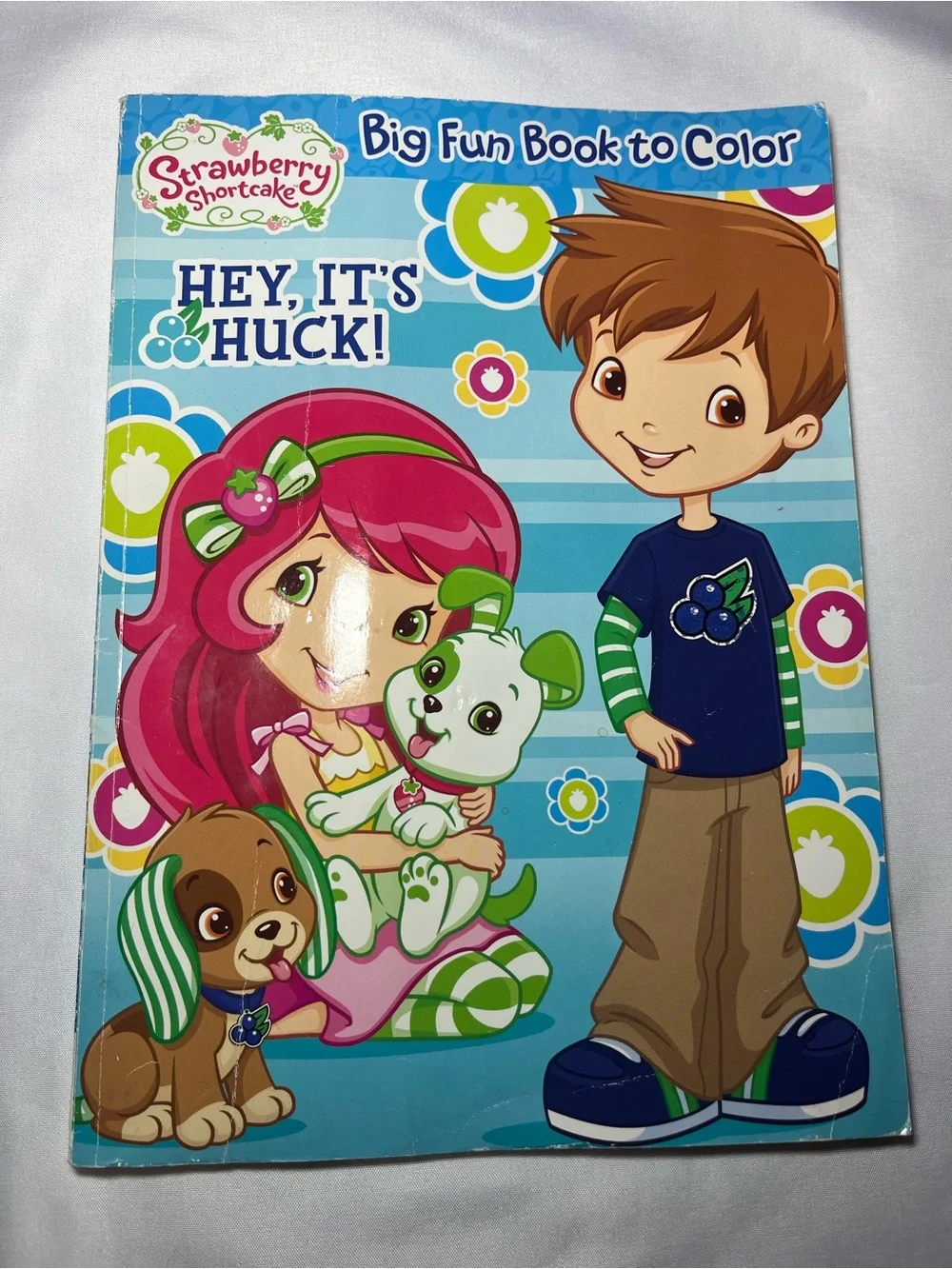 Strawberry Shortcake Big Fun Coloring Book 2014 “Hey, It’s Huck” – Preowned